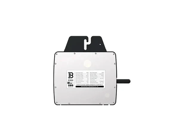 Single-In Microinverter BYM600